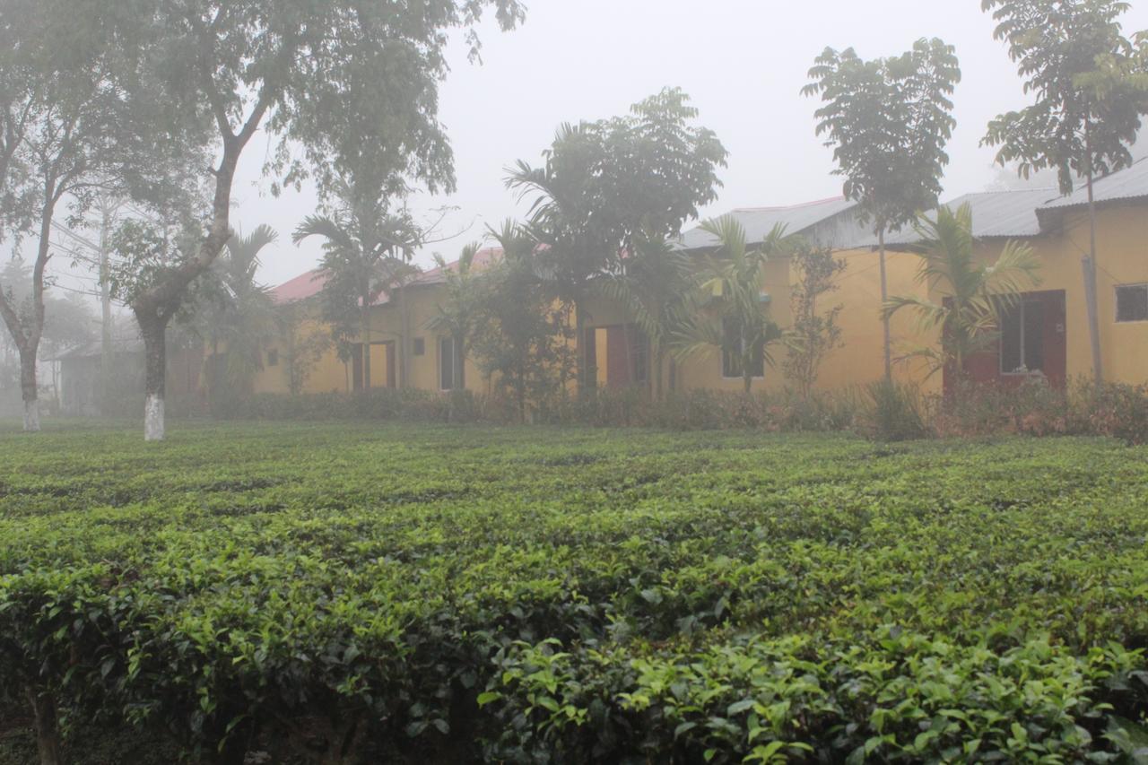 The Mystic Forest - A Tea Garden Resort At Dooars Madari Hat Exteriér fotografie
