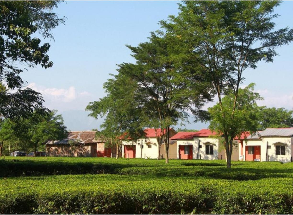 The Mystic Forest - A Tea Garden Resort At Dooars Madari Hat Exteriér fotografie