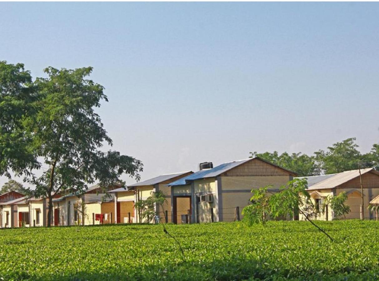 The Mystic Forest - A Tea Garden Resort At Dooars Madari Hat Exteriér fotografie